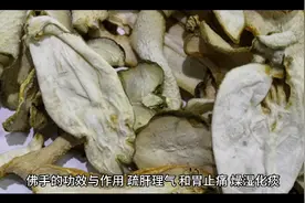 佛手的功效与作用视频封面