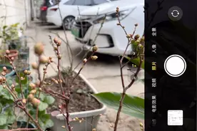 有谁知道苹果13pmax的微距到底怎么用，我想对焦一个花苞都不行？视频封面