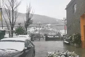 哇哦   雪后太漂亮了视频封面