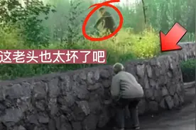 不知道你们老了之后还会不会这样贪玩？视频封面