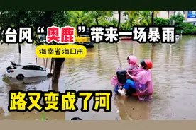 现场！海口市下暴雨积水严重变成河~小马同学上学迟到#台风奥鹿视频封面