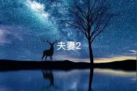 深度解读夫妻宫2视频封面