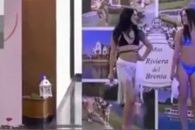 商场内衣秀（无不良导向）视频封面