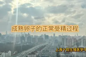 揭秘人类成熟卵子的受精