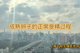 揭秘人类成熟卵子的受精
