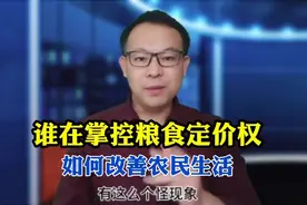 谁掌控着粮食的定价权视频封面