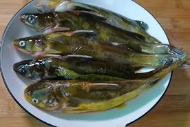 真没想到黄骨鱼的作用这么大，难怪我家孩子身高最近长这么快视频封面