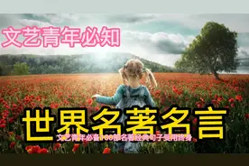 世界名著里最经典的100句话视频封面
