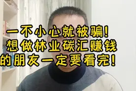一不小心就被骗！想从林业碳汇项目赚钱的朋友一定要看#林业碳汇视频封面