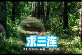 原版格林童话故事：井边的牧鹅女视频封面