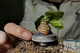 一块彩泥，一双手，打造出全网最好看的指尖陶艺！