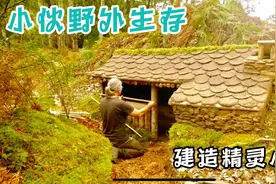 野外建造，徒手建造精灵小屋，精致可爱简直是永久性建筑视频封面