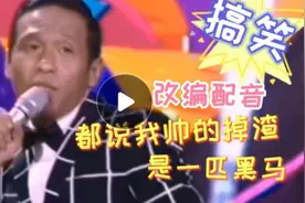爆笑改编配音，都说我帅的掉渣，是一匹黑马，编的太有才了