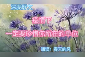 《疫情下，一定要珍惜你所在的单位》诵读：春天的风
