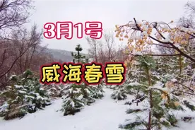 3月1号威海又下雪了！到山上看看阳春三月的雪景，你看漂亮吧？视频封面