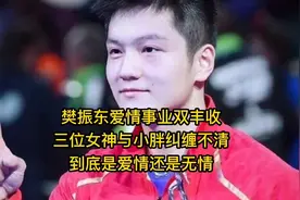 樊振东爱情事业双丰收三位女神与小胖纠缠不清到底是爱情还是无情