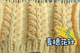 立体大方的麦穗花，编织女士毛衣外套很好看，详细教程分享给你