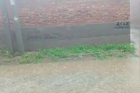 人人在讲三观，你知道三观都指的什么吗，本视频带你真正了解三观视频封面