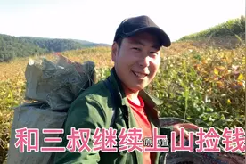 和三叔上山采榛蘑挣钱，3小时就赚几百块，下山爷俩乐坏了视频封面