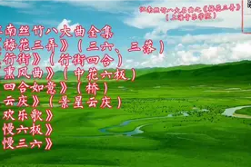 江南丝竹八大曲全集《梅花三弄》《行街》《云庆》《慢六板》等视频封面