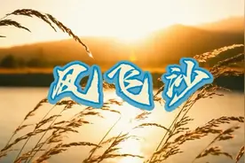 迪克牛仔《风飞沙》满眼的黄沙蜿蜒的伤疤没有泪流下