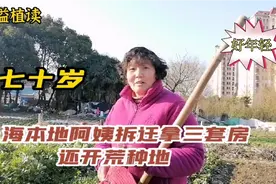 七十岁上海本地阿姨拆迁拿三套房还开荒种菜，看起来只有五十岁视频封面