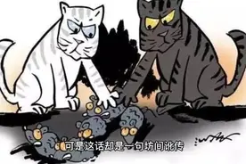 “黑猫白猫论”竟然不是邓小平原创？而且原话竟然也不是这么说的视频封面