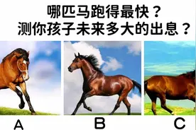 心理测试：你孩子未来能有多大的出息？视频封面