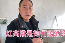 你知道高粱是如何烧出酒的么？拿740斤粮食开酿，15天能出酒视频封面