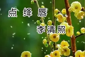 李清照诗几句就把少女的活泼天真变现的淋漓尽致《点绛唇》视频封面