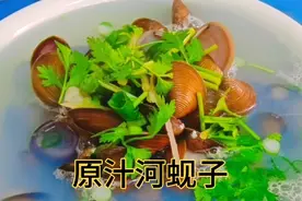 胶东特产河蚬子，只有在无污染环境才能生存的美味，简单烹饪就好视频封面