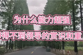 为什么你能力超强却得不到领导的赏识和重要?致努力奋斗的人视频封面