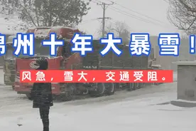 锦州十年以来最大降雪。风急，雪大，强，降雪对交通有一定影响。视频封面