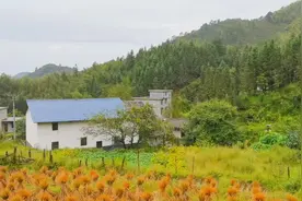 海拔650米小山村，山好水好避暑胜地，村子十几栋房子就三个老人视频封面