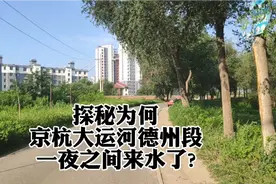 为何京杭大运河德州段一夜之间来水了？原来是行洪安排，注意安全视频封面
