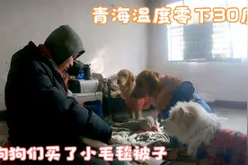 担心狗狗们的被子单薄，买了厚实的小毛毯，睡觉一定很舒服视频封面
