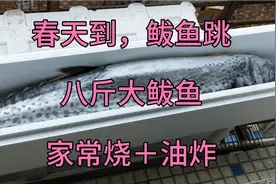 春天我们风俗要给老丈人送鲅鱼，每年买两条，婆婆和妈都有，鲜美视频封面