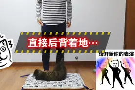 「嘎咪日常」猫咪翻身测试大反转