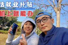 丁克夫妻想回北京领灵活就业补贴,发现手机就能办,分享给大家视频封面