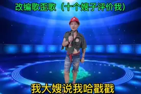 改编歪歌（十个嫂子评价我）视频封面