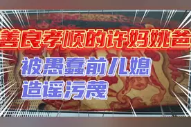 愚蠢糊涂的熊三石，和亲婆婆沆瀣一气，造谣生事，污蔑许妈姚爸视频封面