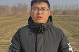 明年小麦春季浇第一水一定要这个时间浇，浇不好会影响小麦产量视频封面