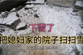 女婿在丈母娘家得主动干活，下了雪主动扫雪，主动倒垃圾视频封面