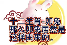十二生肖之卯兔，为什么要叫做卯兔呢，属兔之人的性格特点！视频封面
