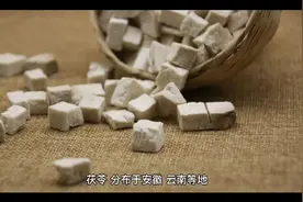 茯苓的功效和作用视频封面