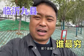 临沂九县谁最穷引发网友热议，平邑和蒙阴争锋，临沭和莒南不干了视频封面