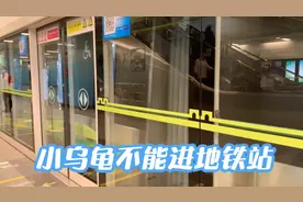安检员不让小乌龟进地铁站，7岁男孩急的直哭！视频封面