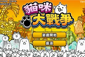 猫咪大乱斗视频封面