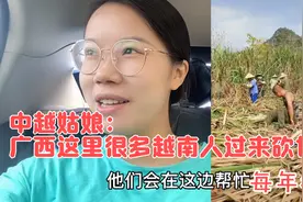 广西这里每年很多越南人过来砍甘蔗！听说一捆30斤赚1.5元视频封面