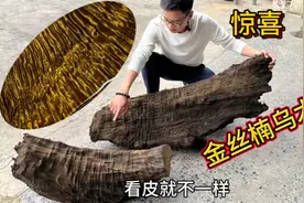 花16000买了两块金丝楠乌木，切开竟然不一样，大家看看能做什么视频封面